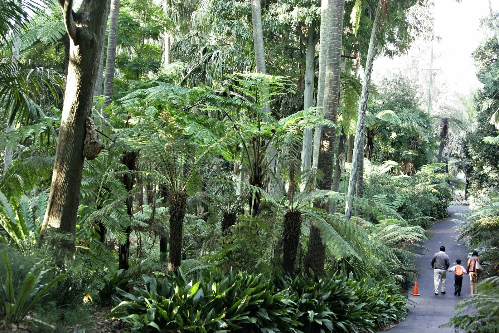 Royal Botanic Gardens Victoria