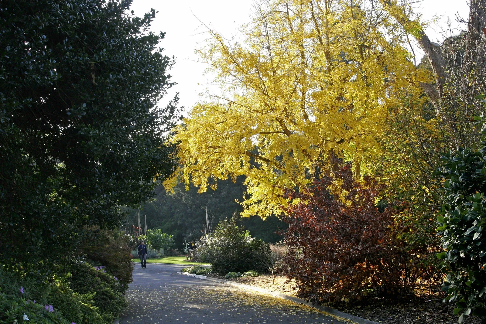 Royal Botanic Gardens Victoria