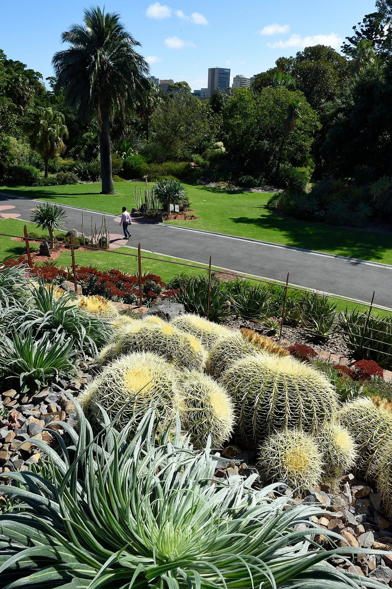 Royal Botanic Gardens Victoria