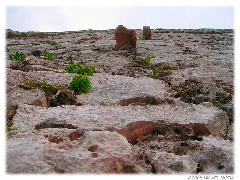 Mayan Ruins of Tulum - Zona Arqueológica de Tulum