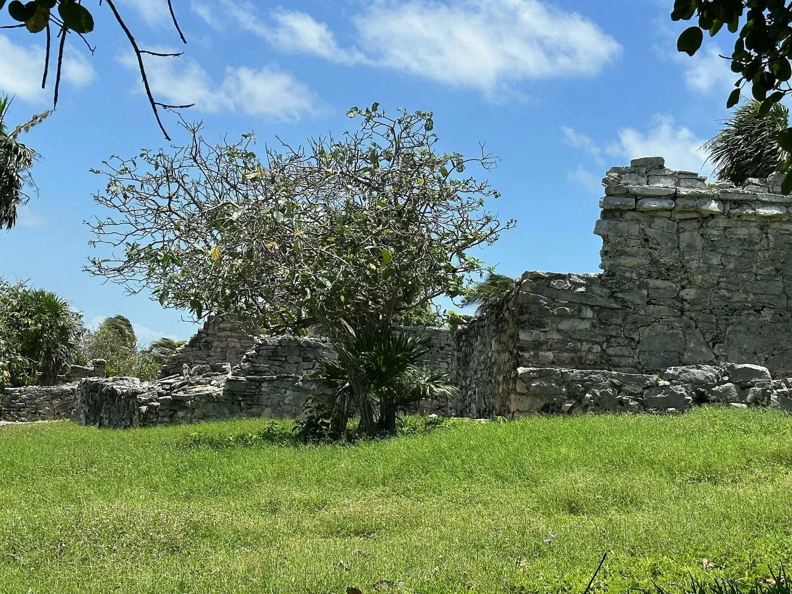 Tulum (sito archeologico)