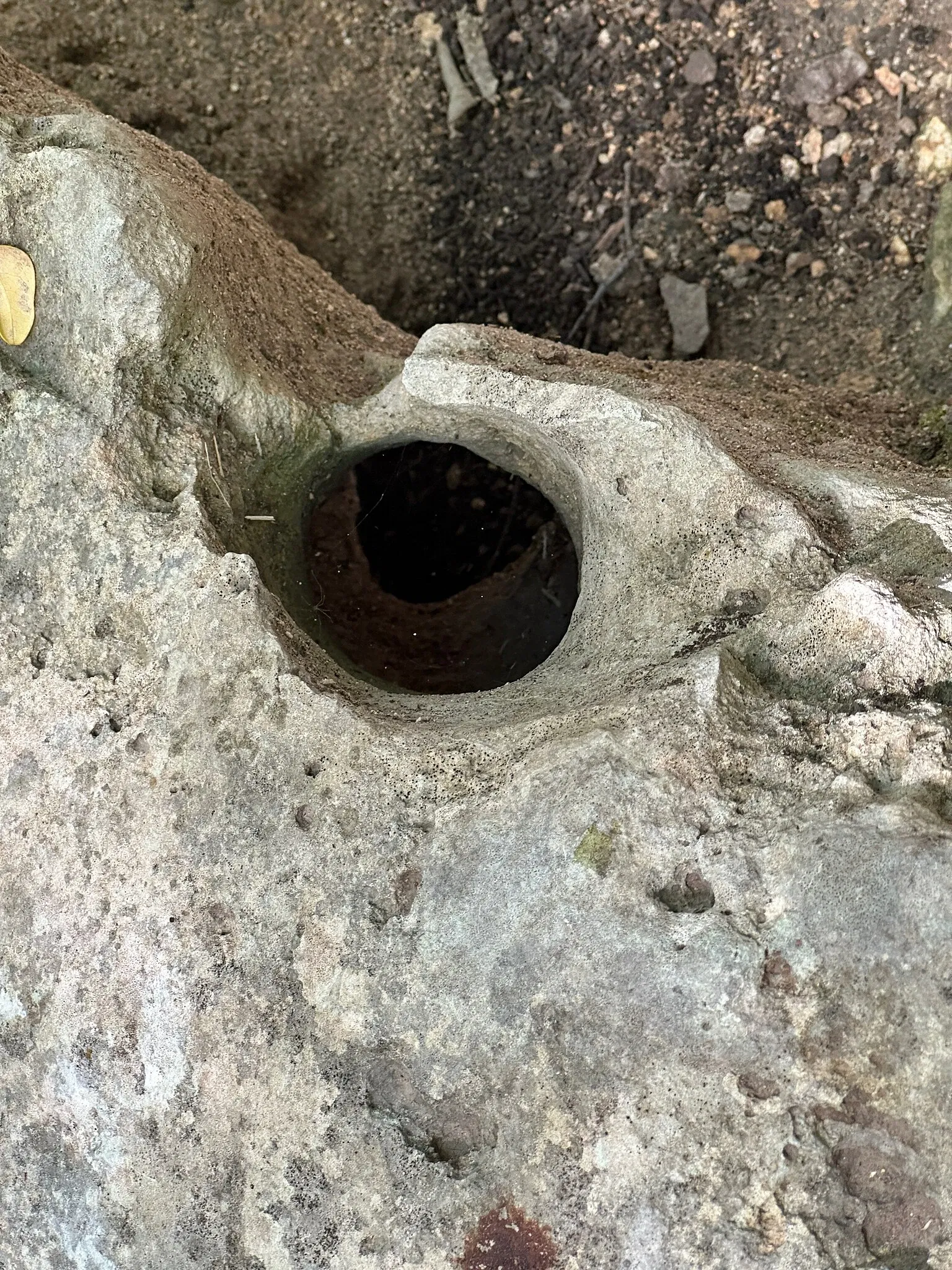 Ruinas mayas de Tulum - Zona Arqueológica de Tulum