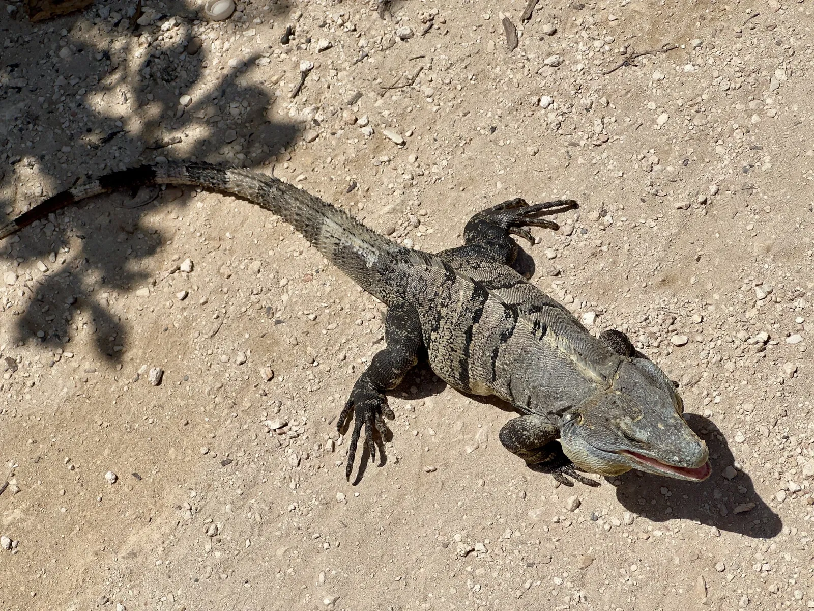 Tulum (Maya-Stätte)