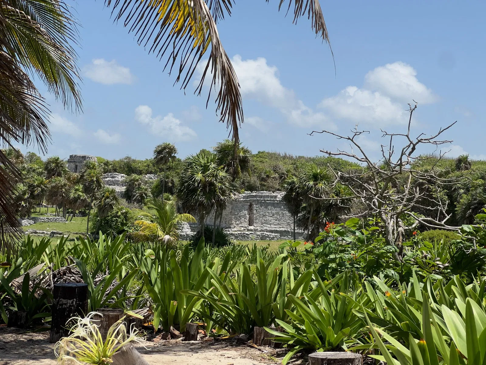 Ruinas mayas de Tulum - Zona Arqueológica de Tulum