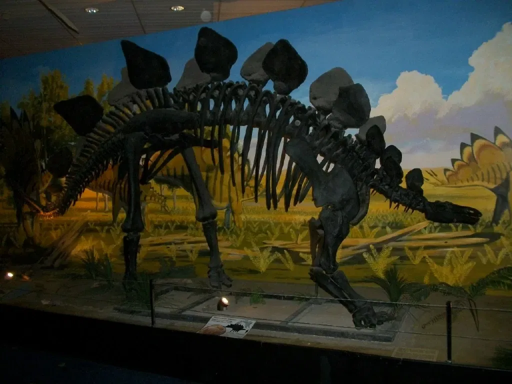 Musée national des dinosaures