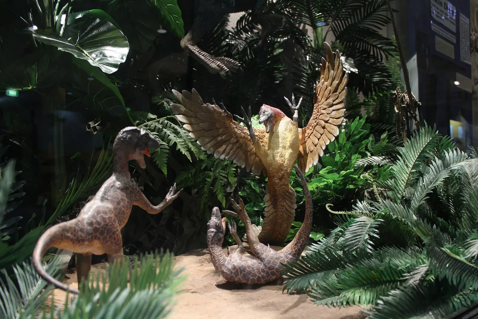 National Dinosaur Museum