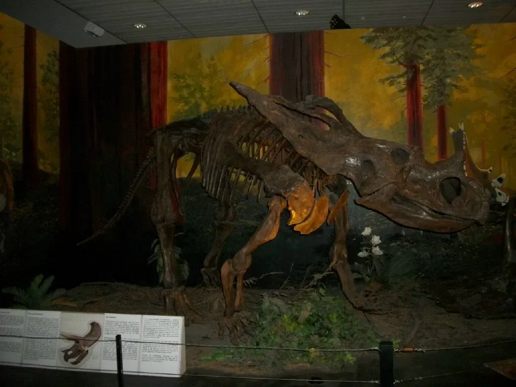 Museo Nacional del Dinosaurio