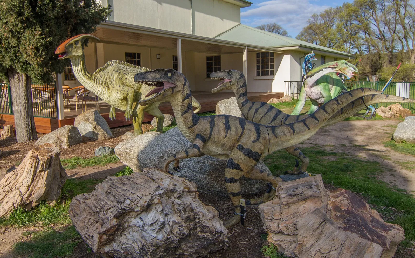 National Dinosaur Museum