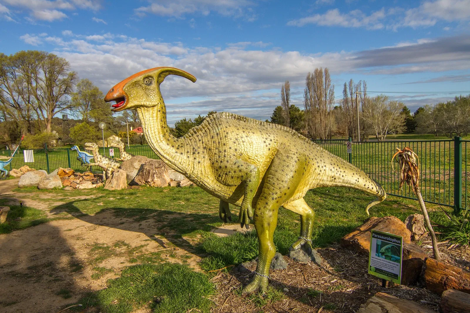 Museo Nacional del Dinosaurio