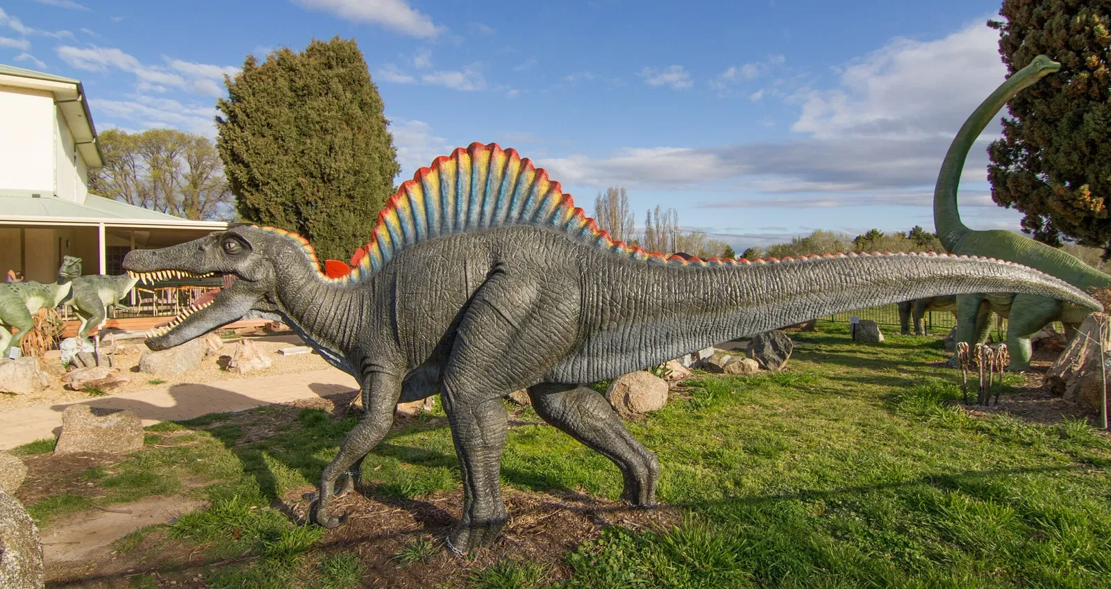 National Dinosaur Museum