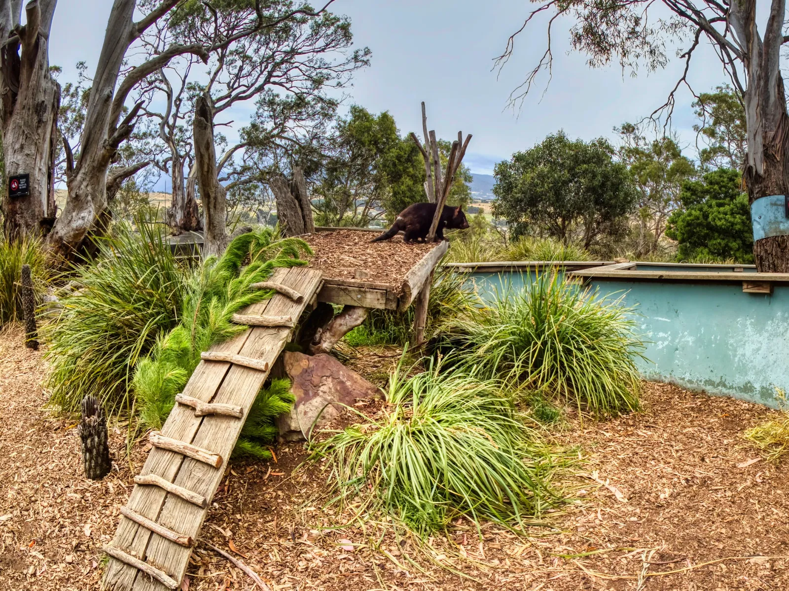 Bonorong Wildlife Sanctuary