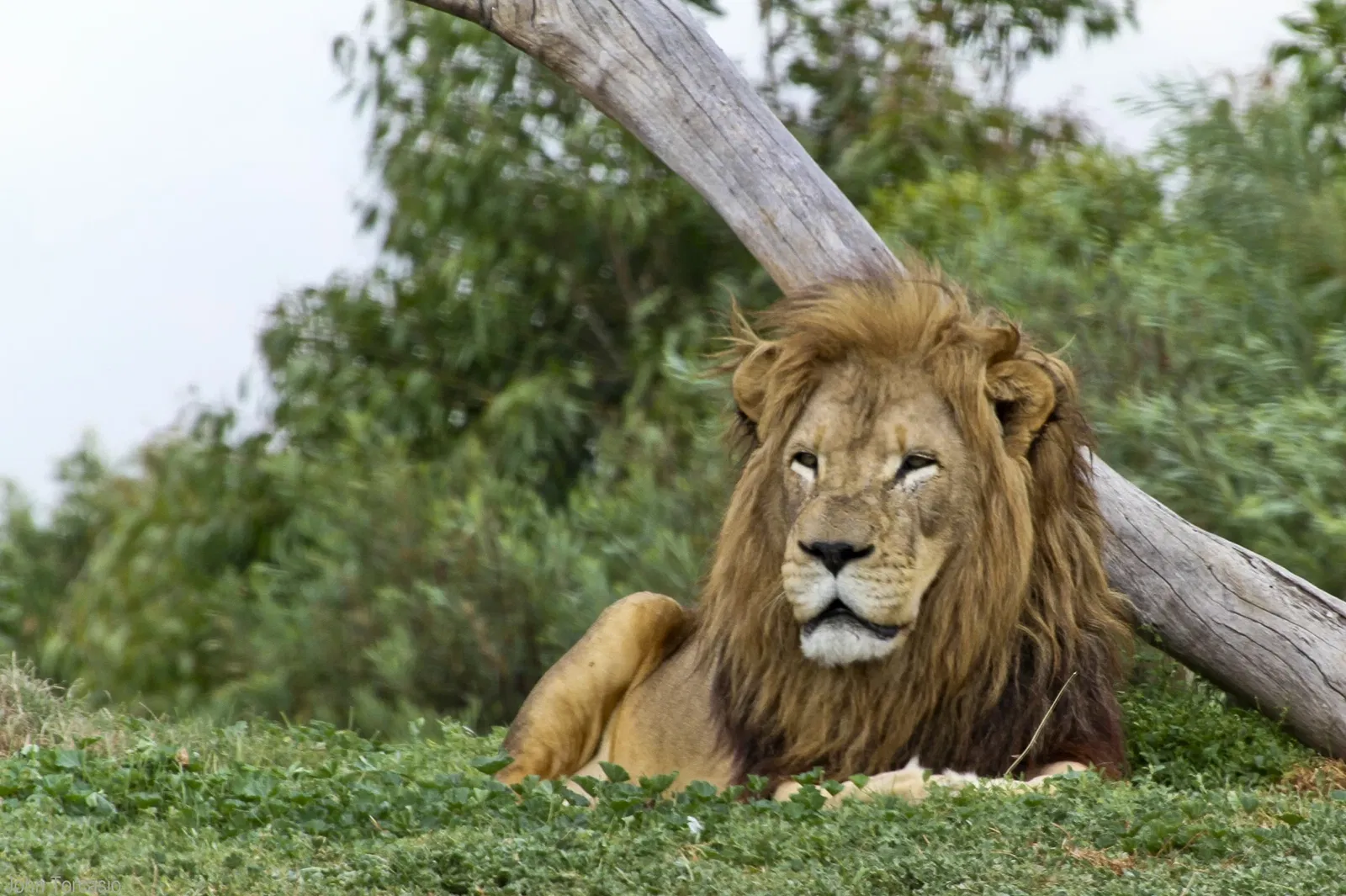 Werribee Open Range Zoo