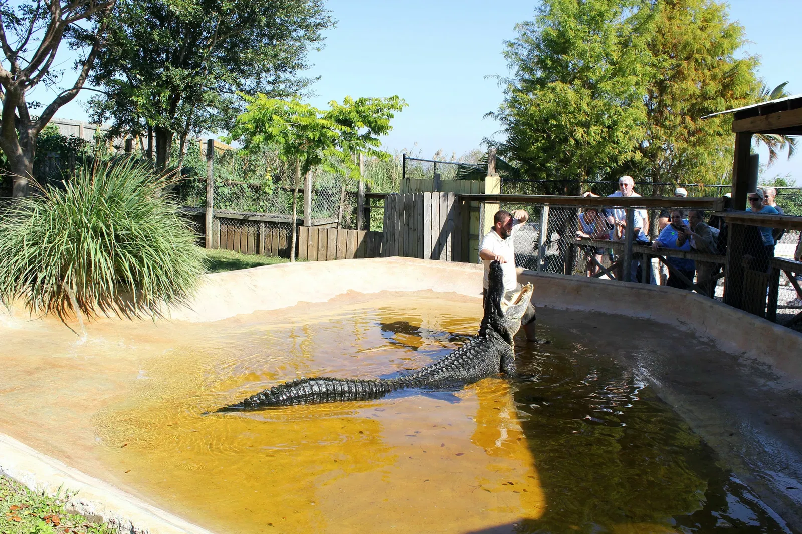Sawgrass Recreation Park