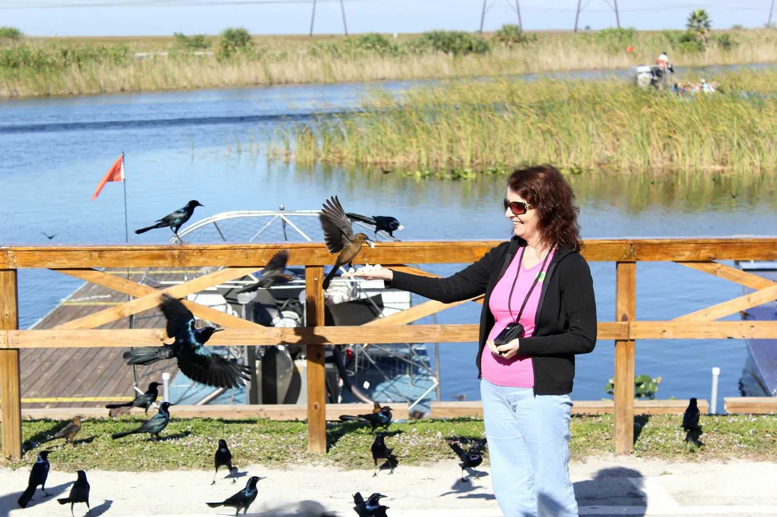 Sawgrass Recreation Park