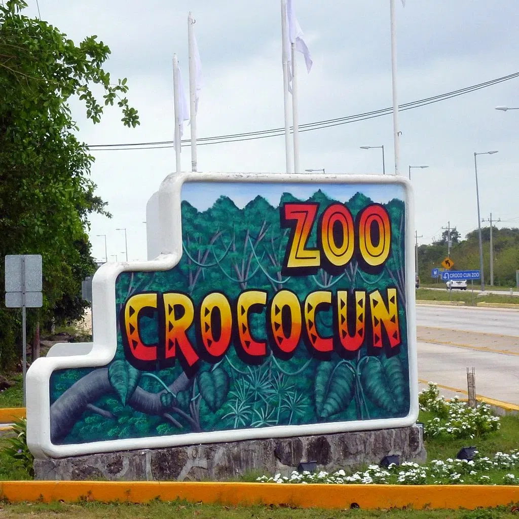 Croco Cun Zoo