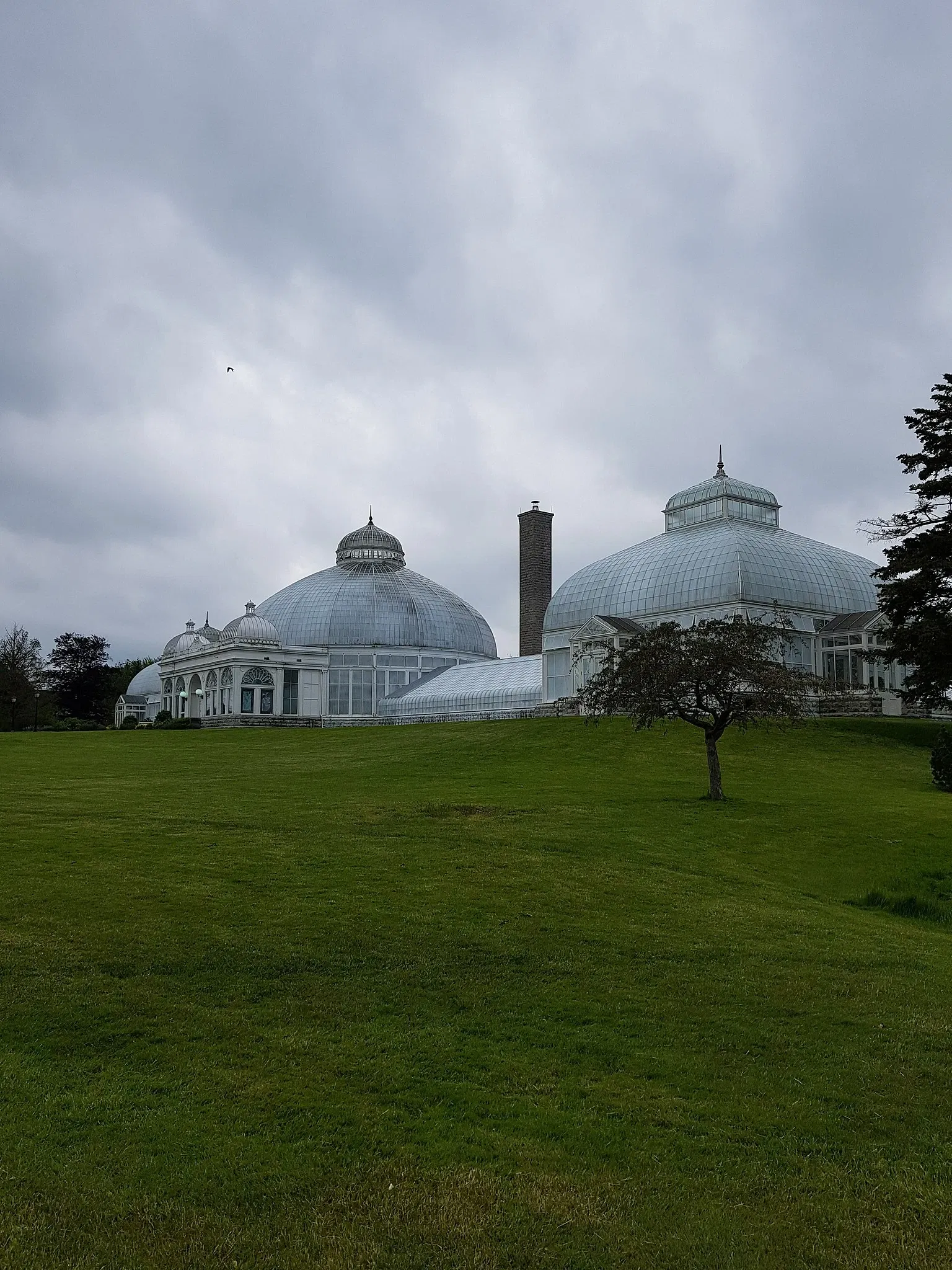 Buffalo and Erie County Botanical Gardens