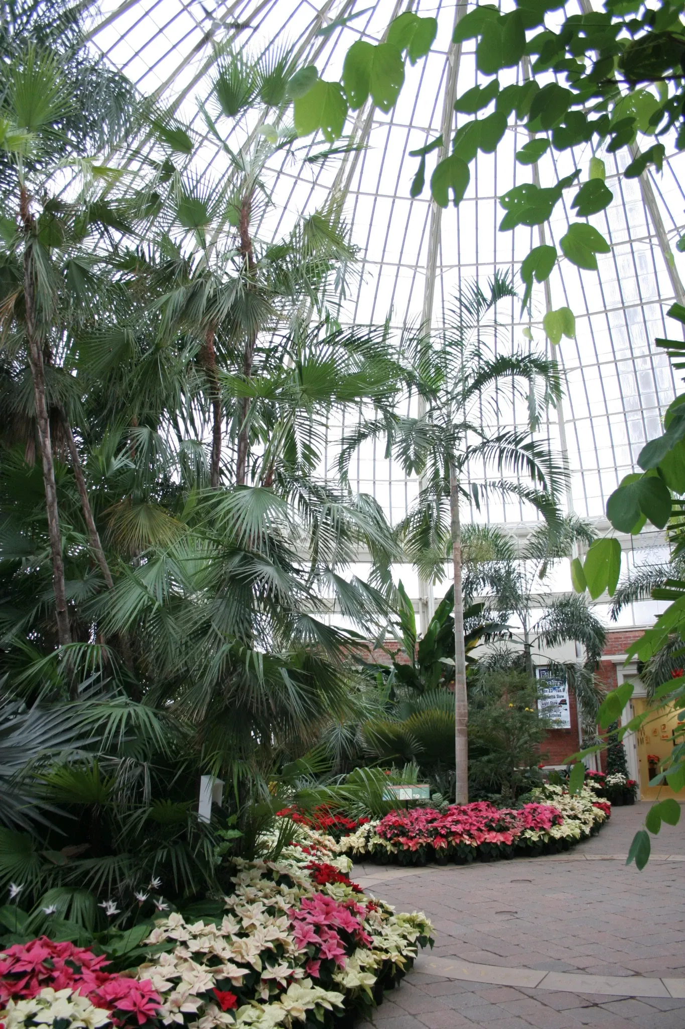 Buffalo and Erie County Botanical Gardens