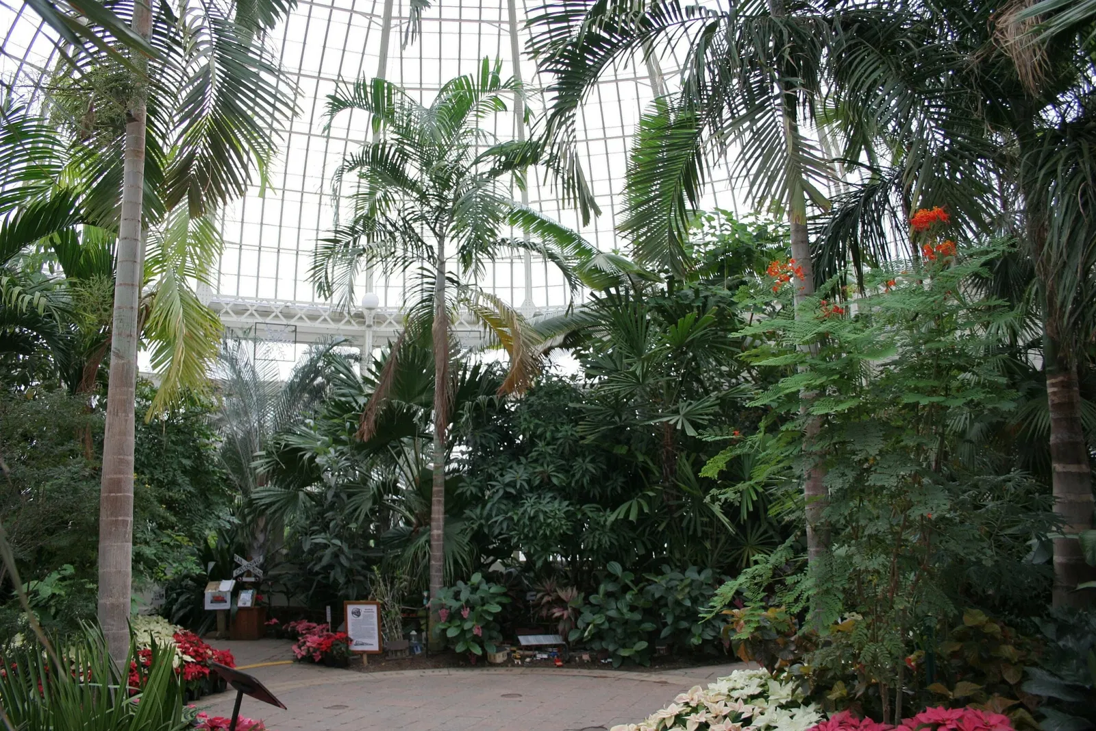 Buffalo and Erie County Botanical Gardens