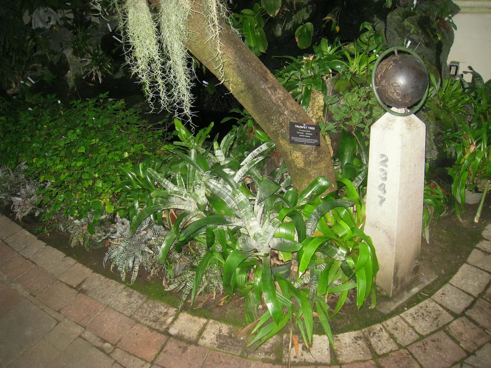 Buffalo and Erie County Botanical Gardens