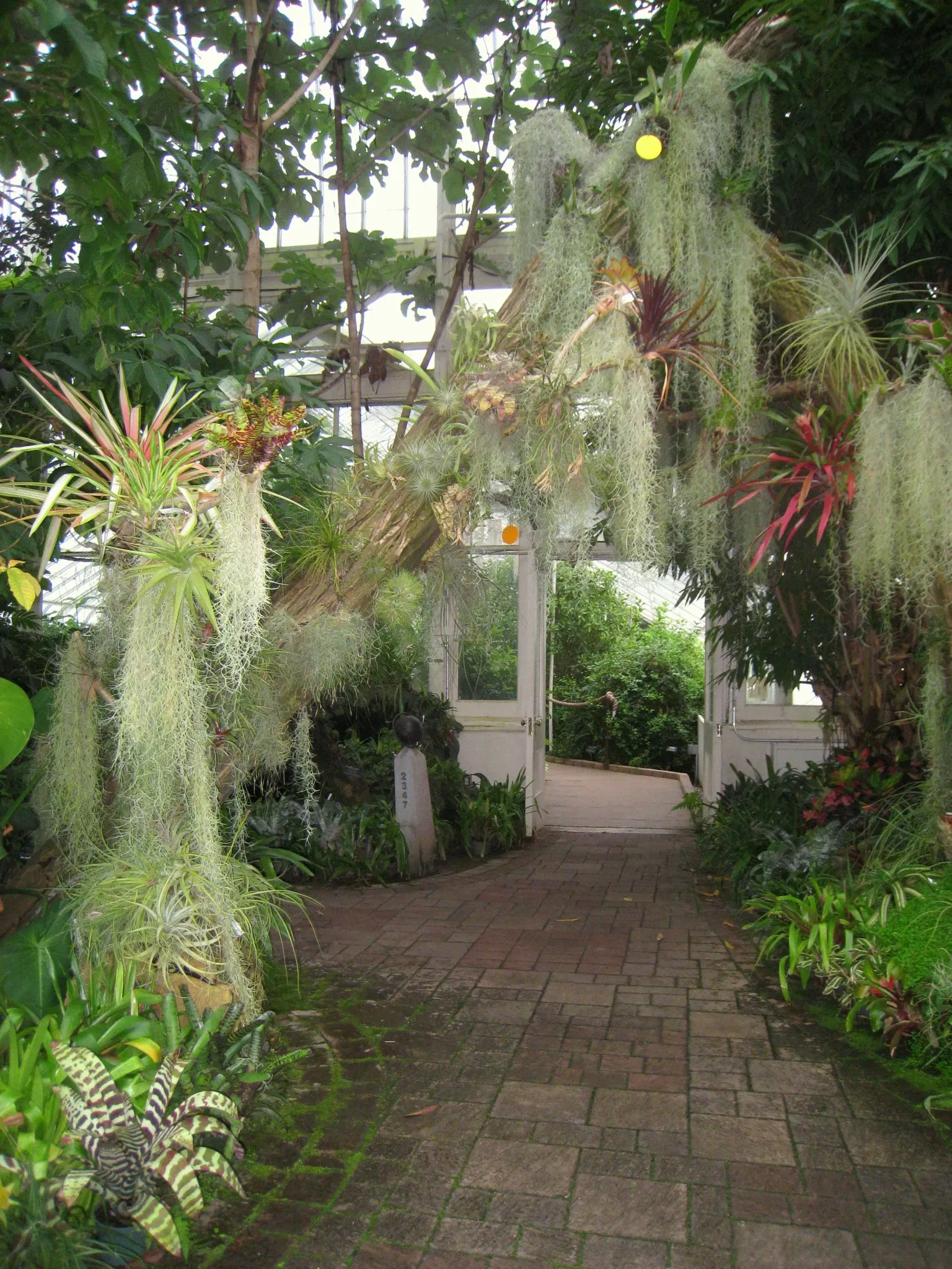 Buffalo and Erie County Botanical Gardens