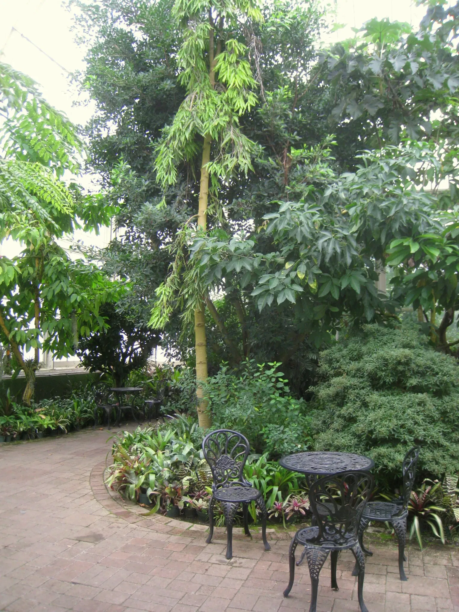 Buffalo and Erie County Botanical Gardens