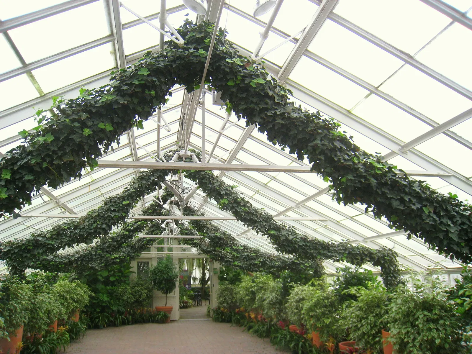 Buffalo and Erie County Botanical Gardens