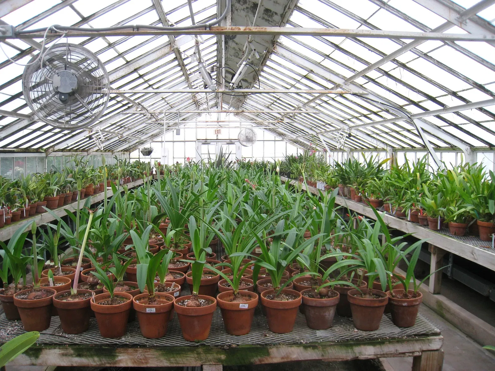 Buffalo and Erie County Botanical Gardens