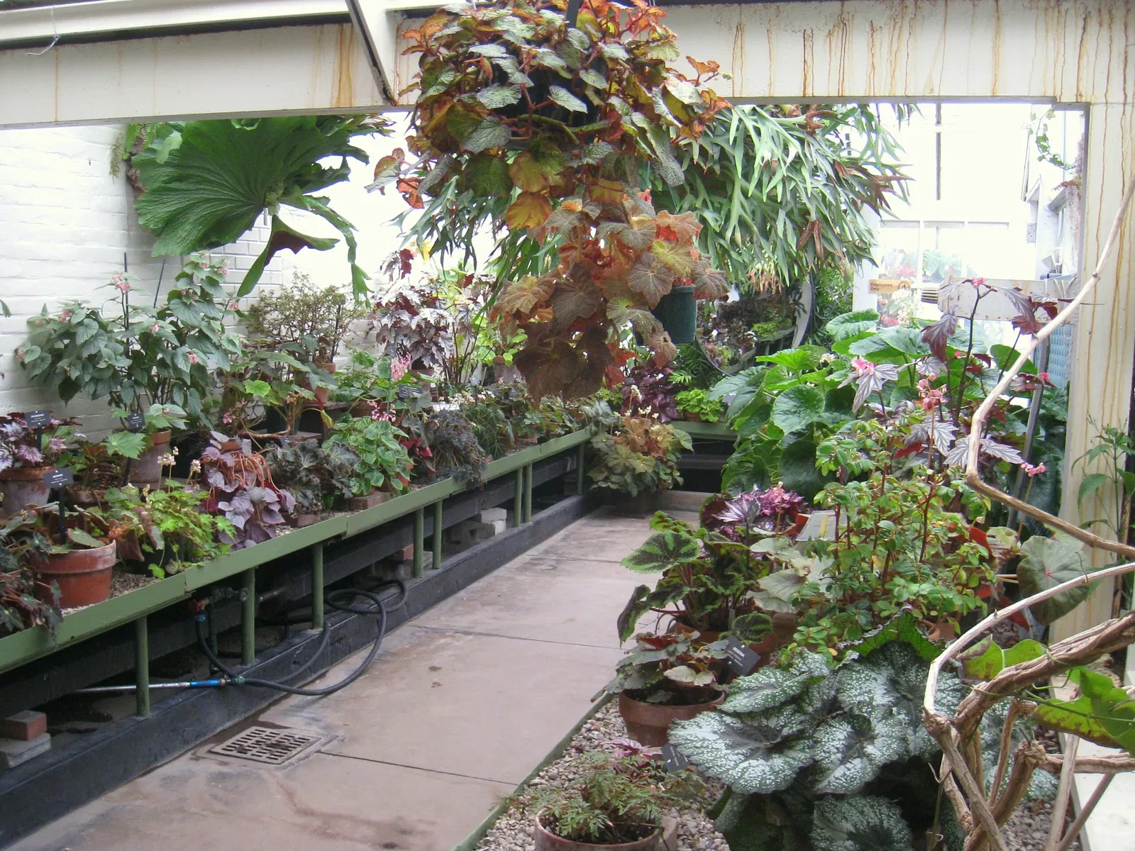 Buffalo and Erie County Botanical Gardens