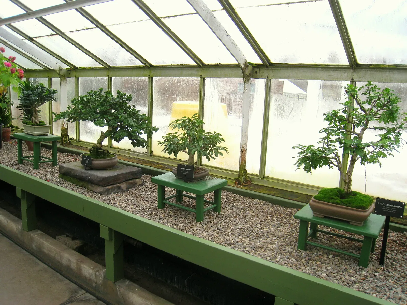 Buffalo and Erie County Botanical Gardens