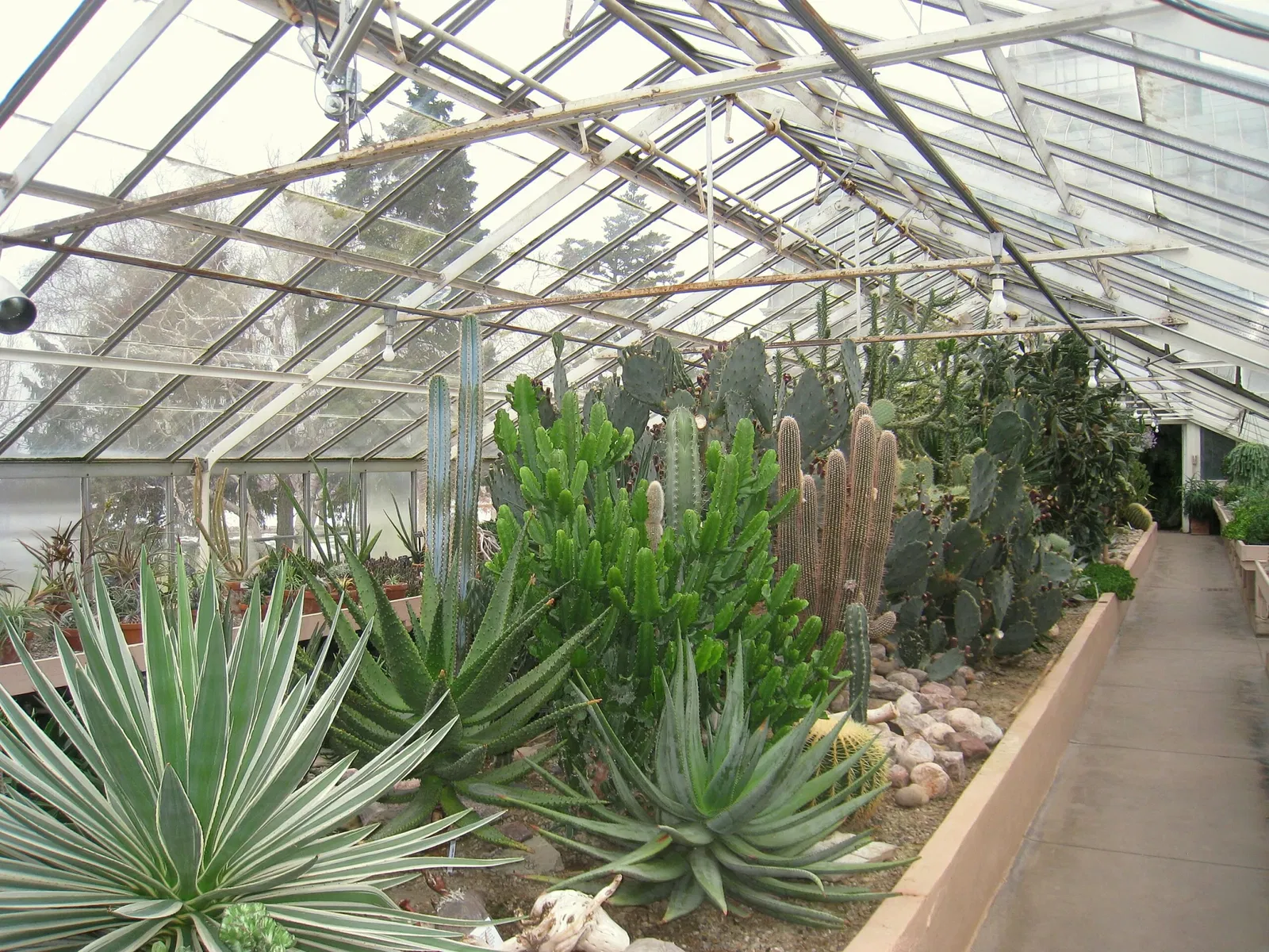 Buffalo and Erie County Botanical Gardens