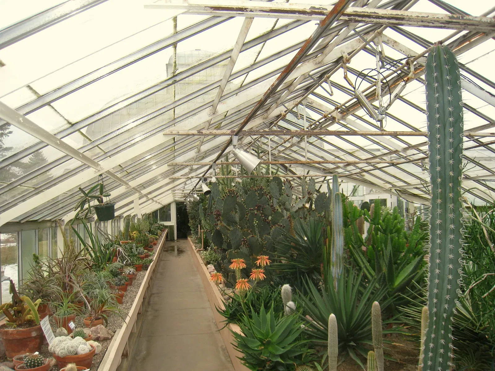 Buffalo and Erie County Botanical Gardens