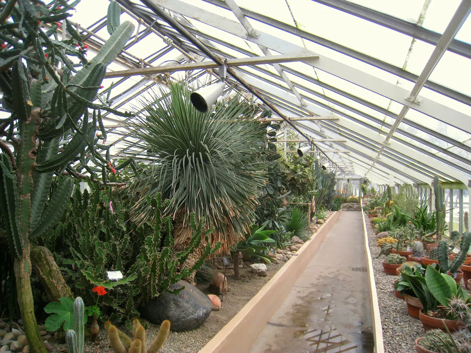 Buffalo and Erie County Botanical Gardens