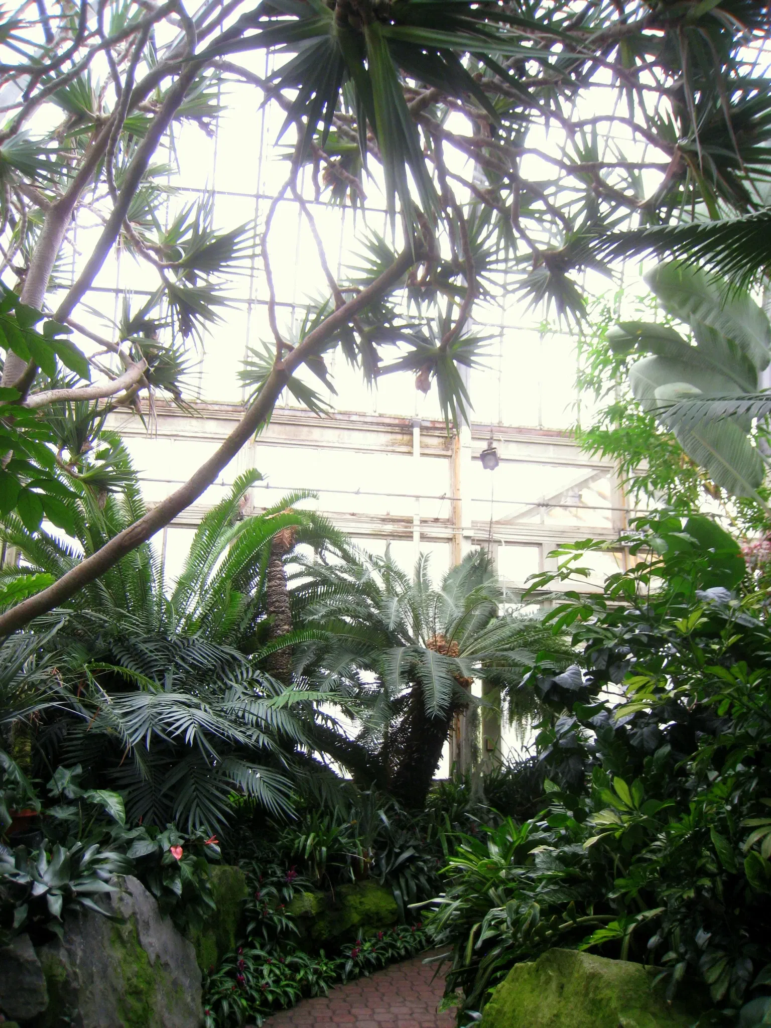 Buffalo and Erie County Botanical Gardens