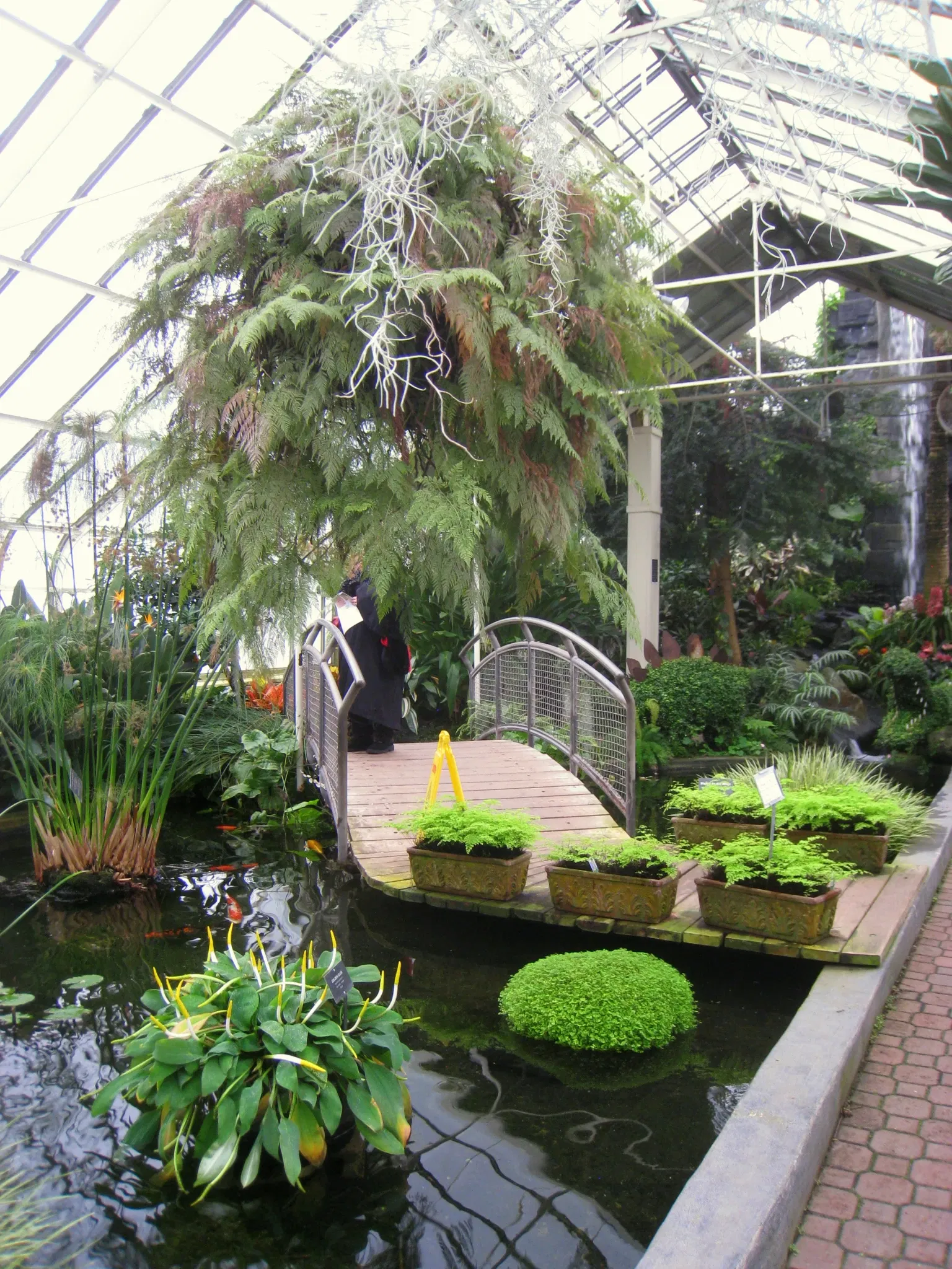 Buffalo and Erie County Botanical Gardens
