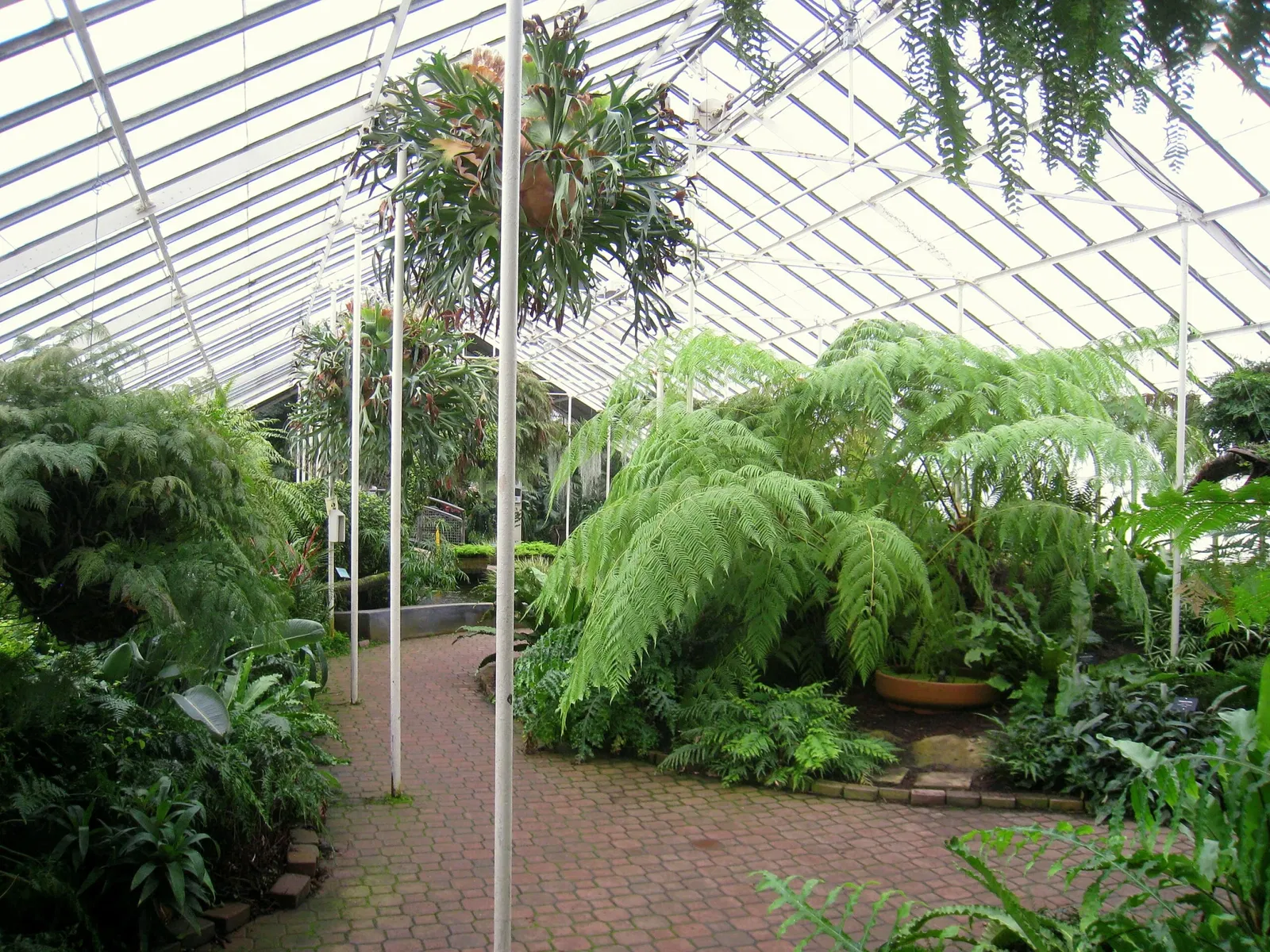 Buffalo and Erie County Botanical Gardens