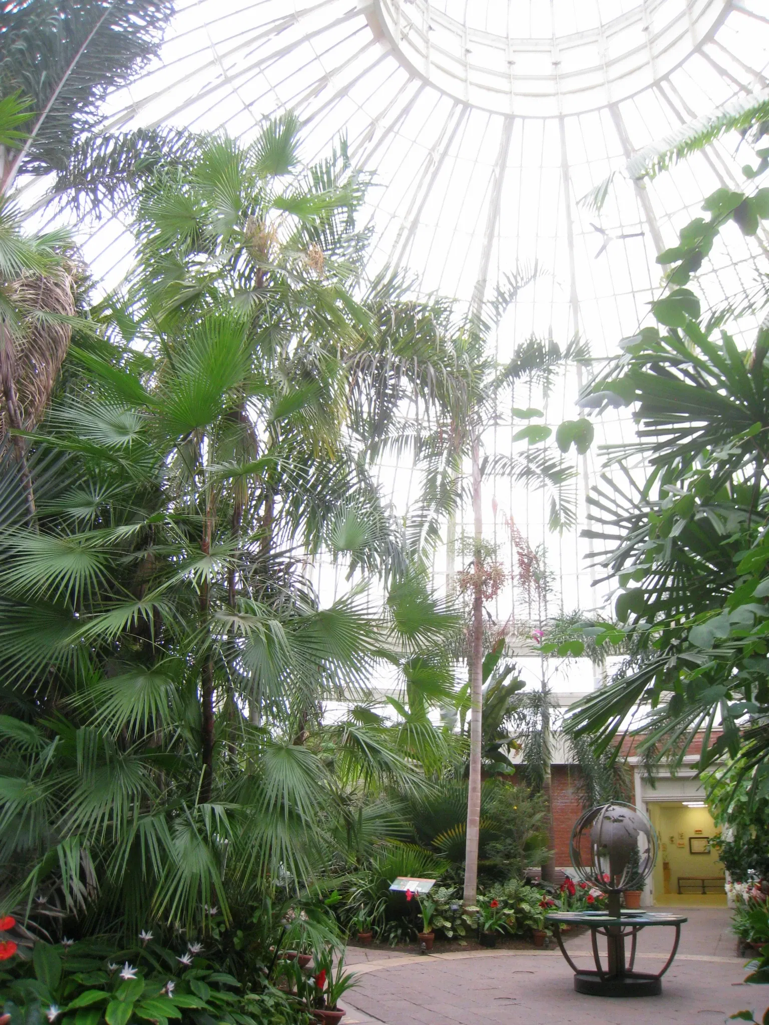 Buffalo and Erie County Botanical Gardens