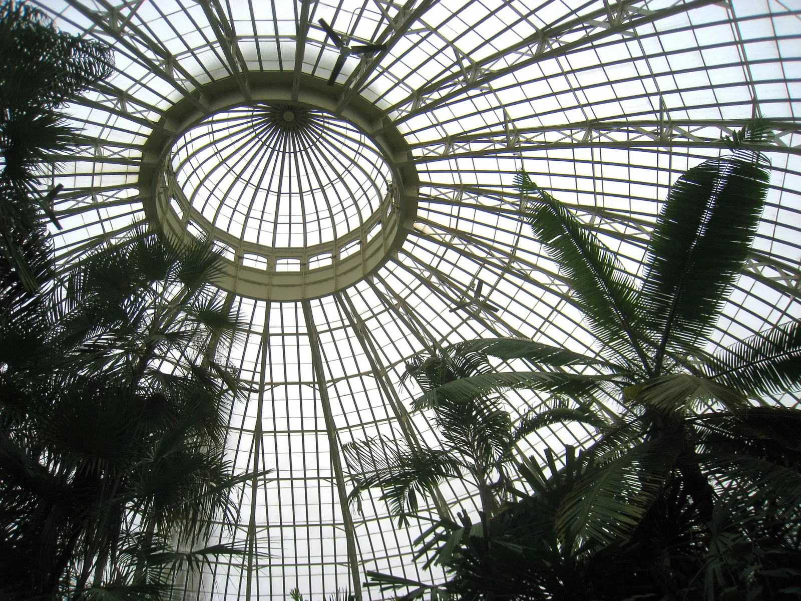 Buffalo and Erie County Botanical Gardens