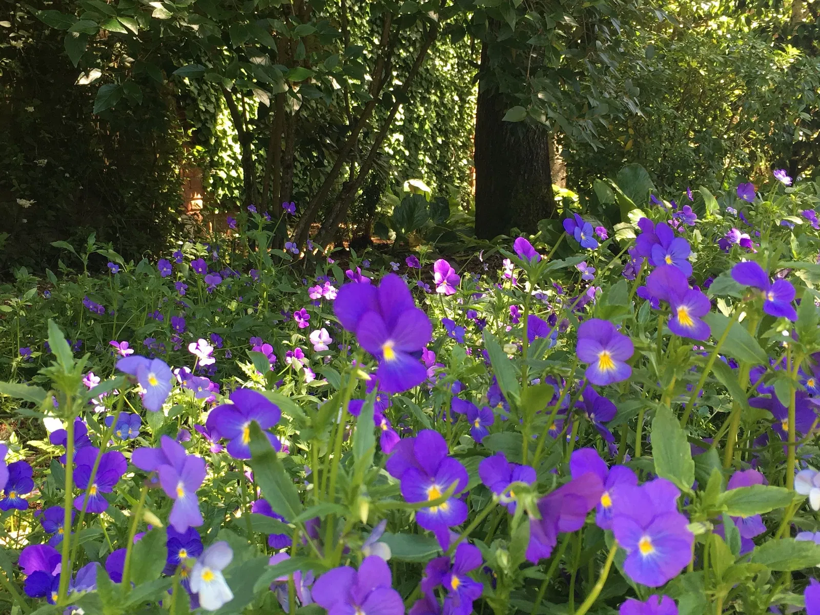 Filoli Historic House & Garden