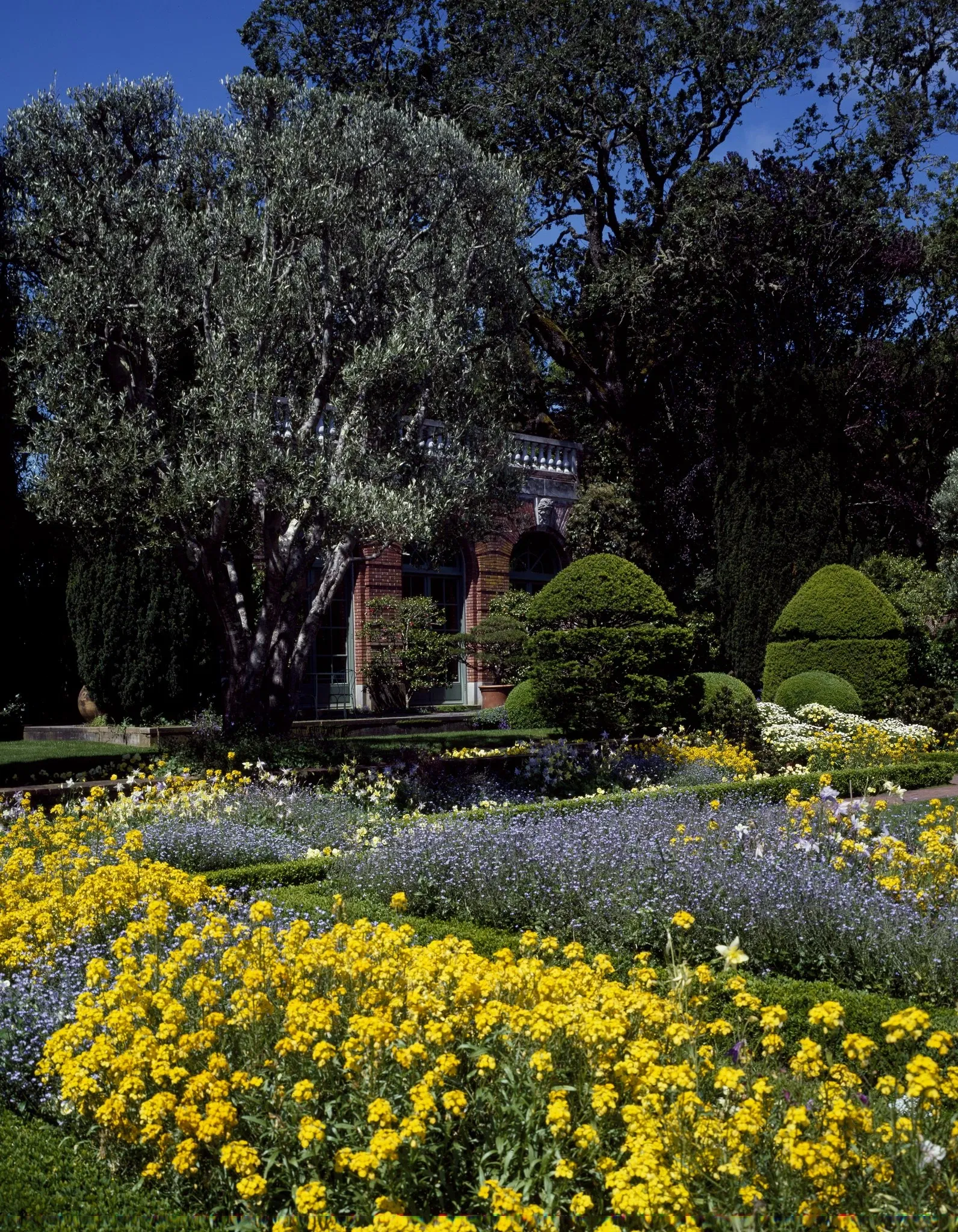 Filoli Historic House & Garden