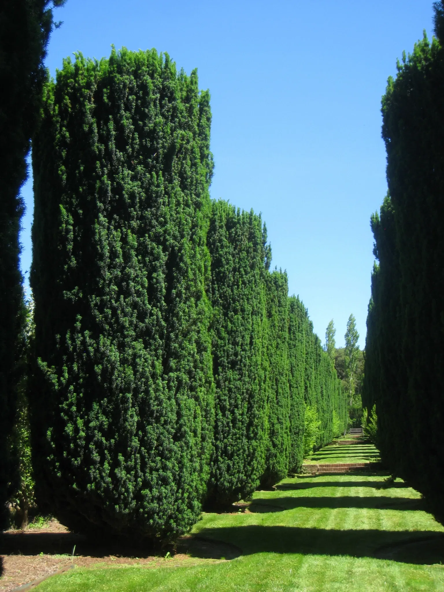 Filoli Historic House & Garden