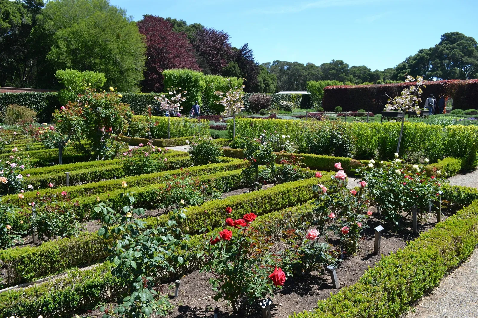 Filoli Historic House & Garden