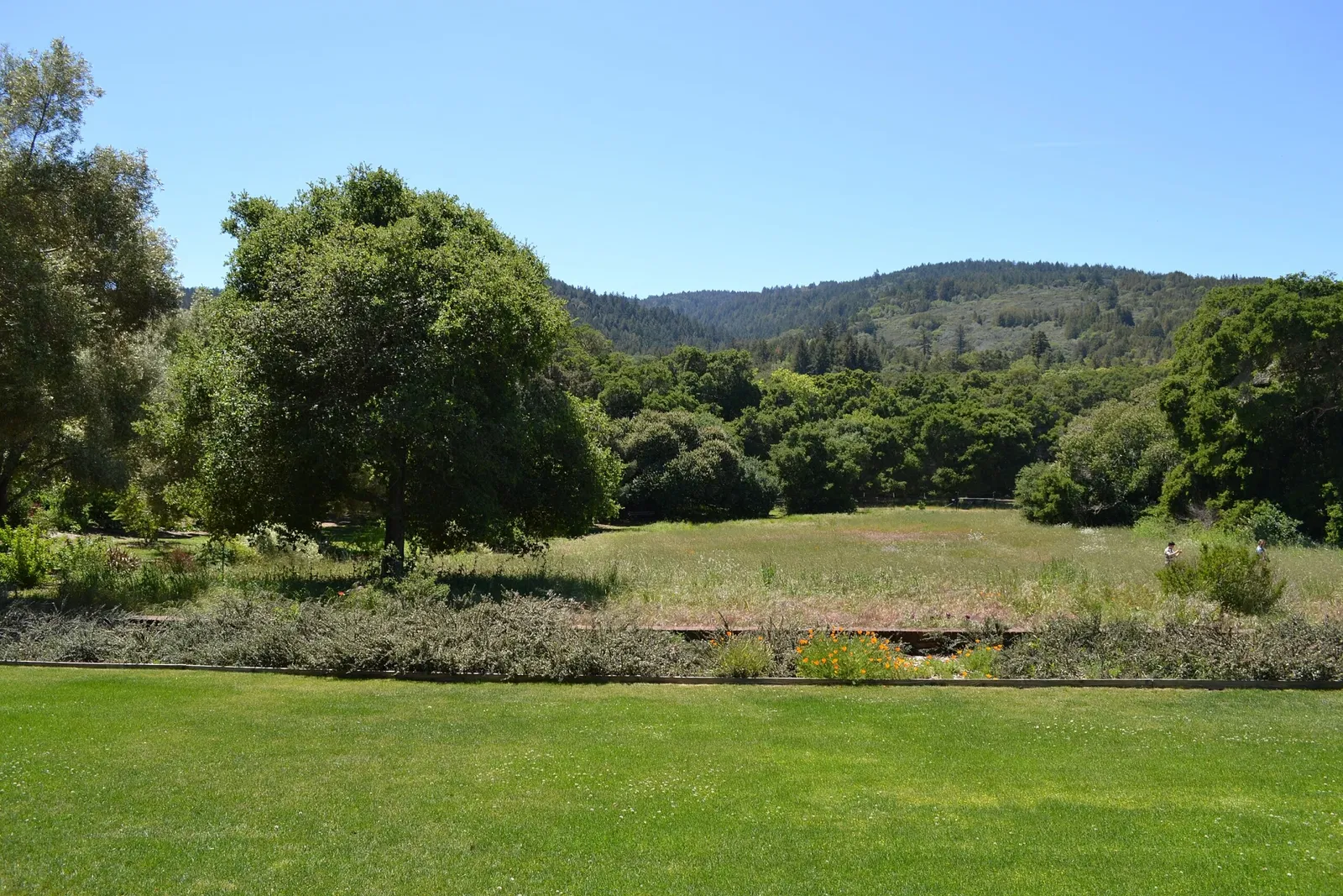 Filoli Historic House & Garden