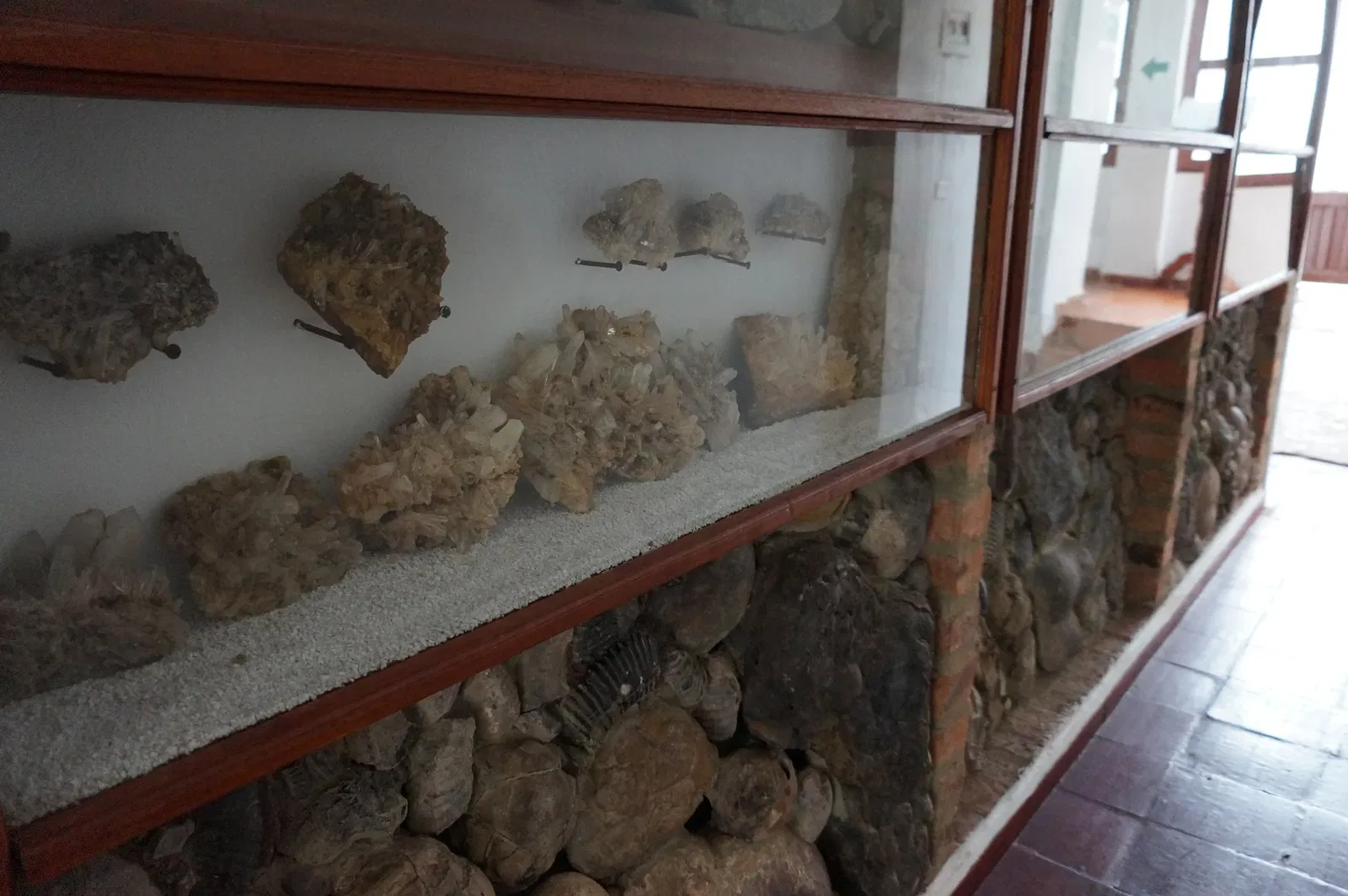 Museo Paleontológico de Villa de Leyva