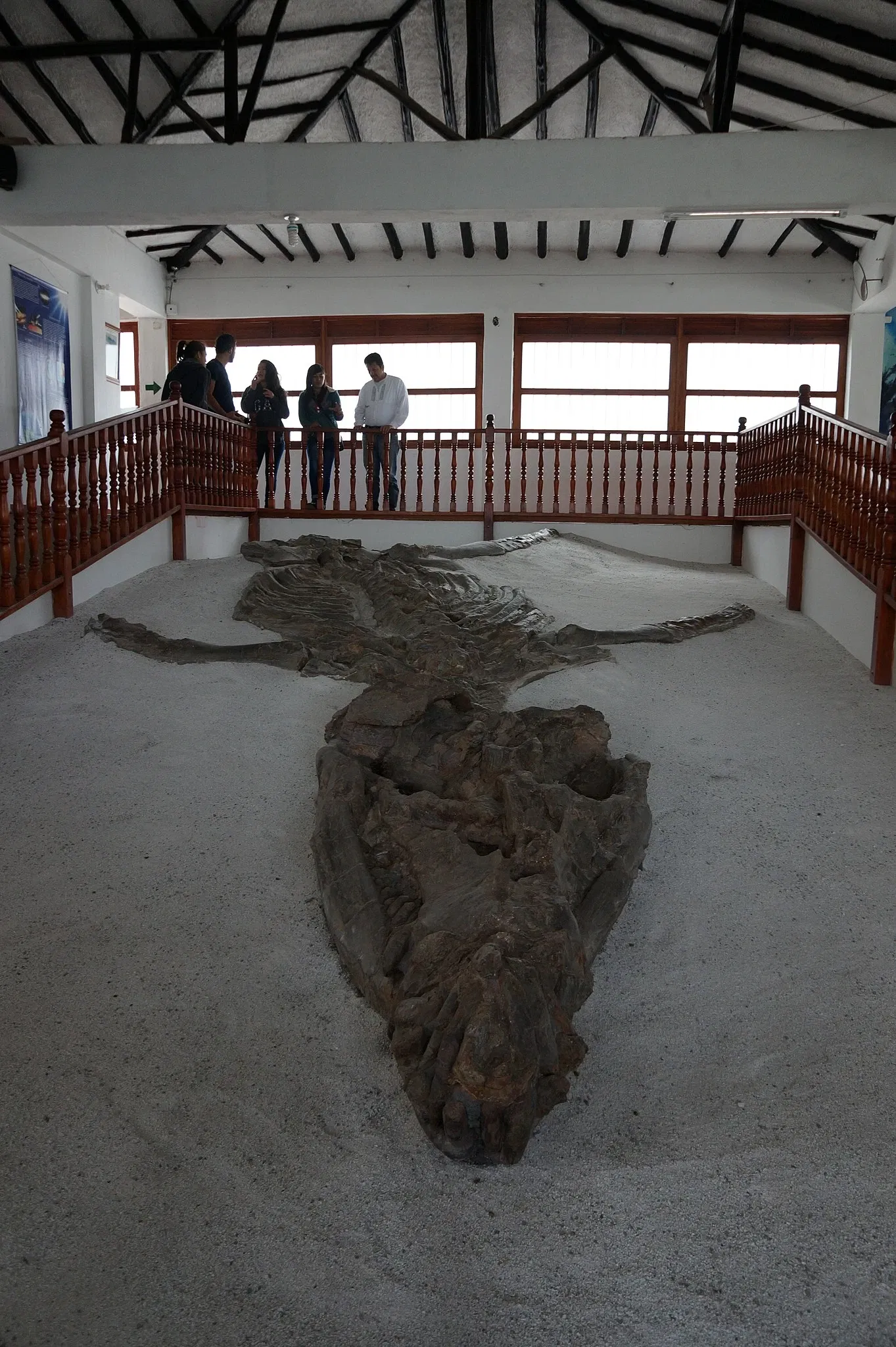 Museo Paleontológico de Villa de Leyva