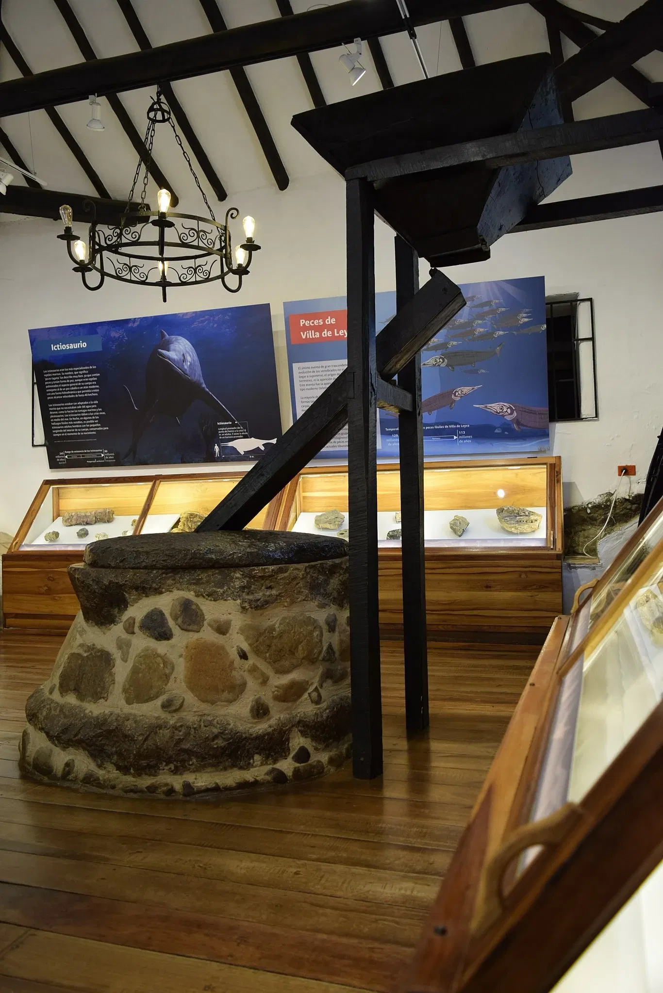 Museo Paleontológico de Villa de Leyva