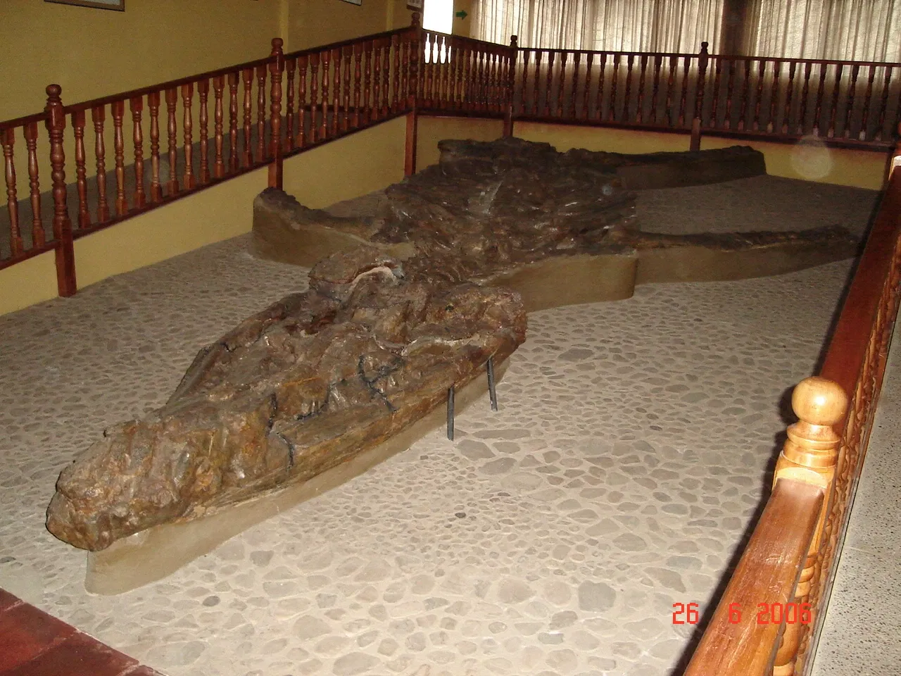 Museo Paleontológico de Villa de Leyva