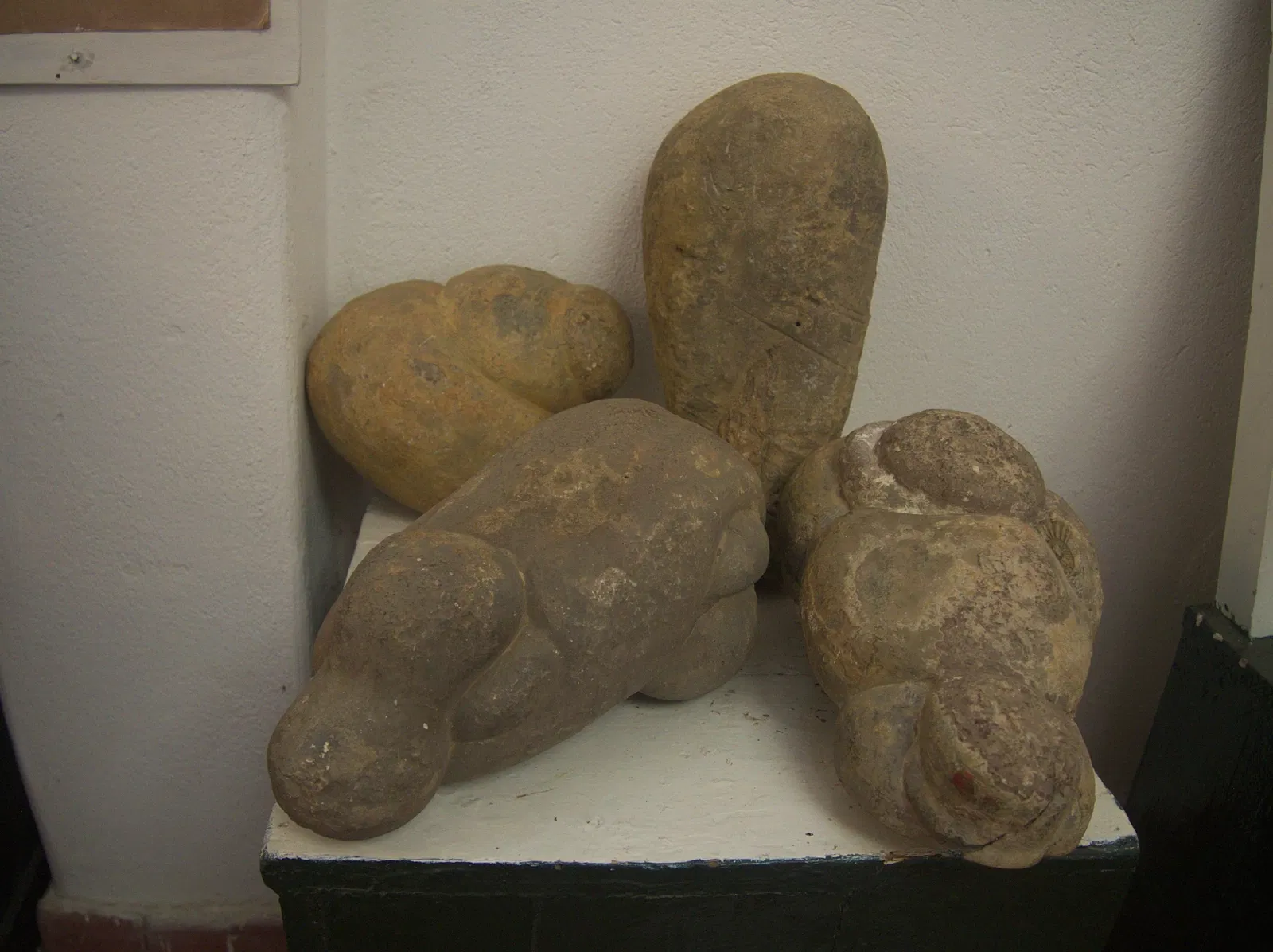 Museo Paleontológico de Villa de Leyva