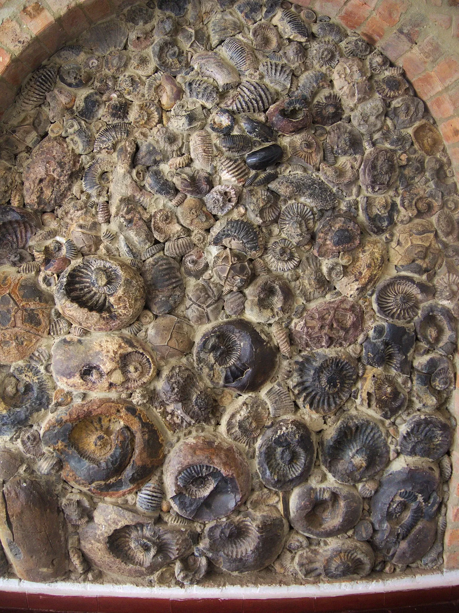 Museo Paleontológico de Villa de Leyva