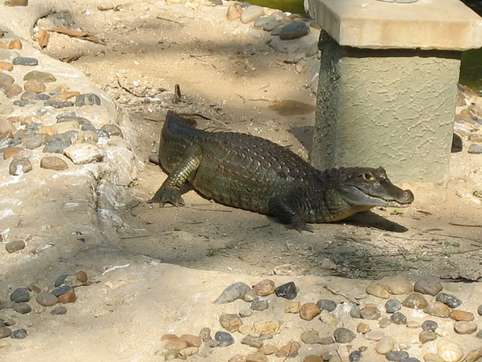 Parc zoologique de Barranquilla