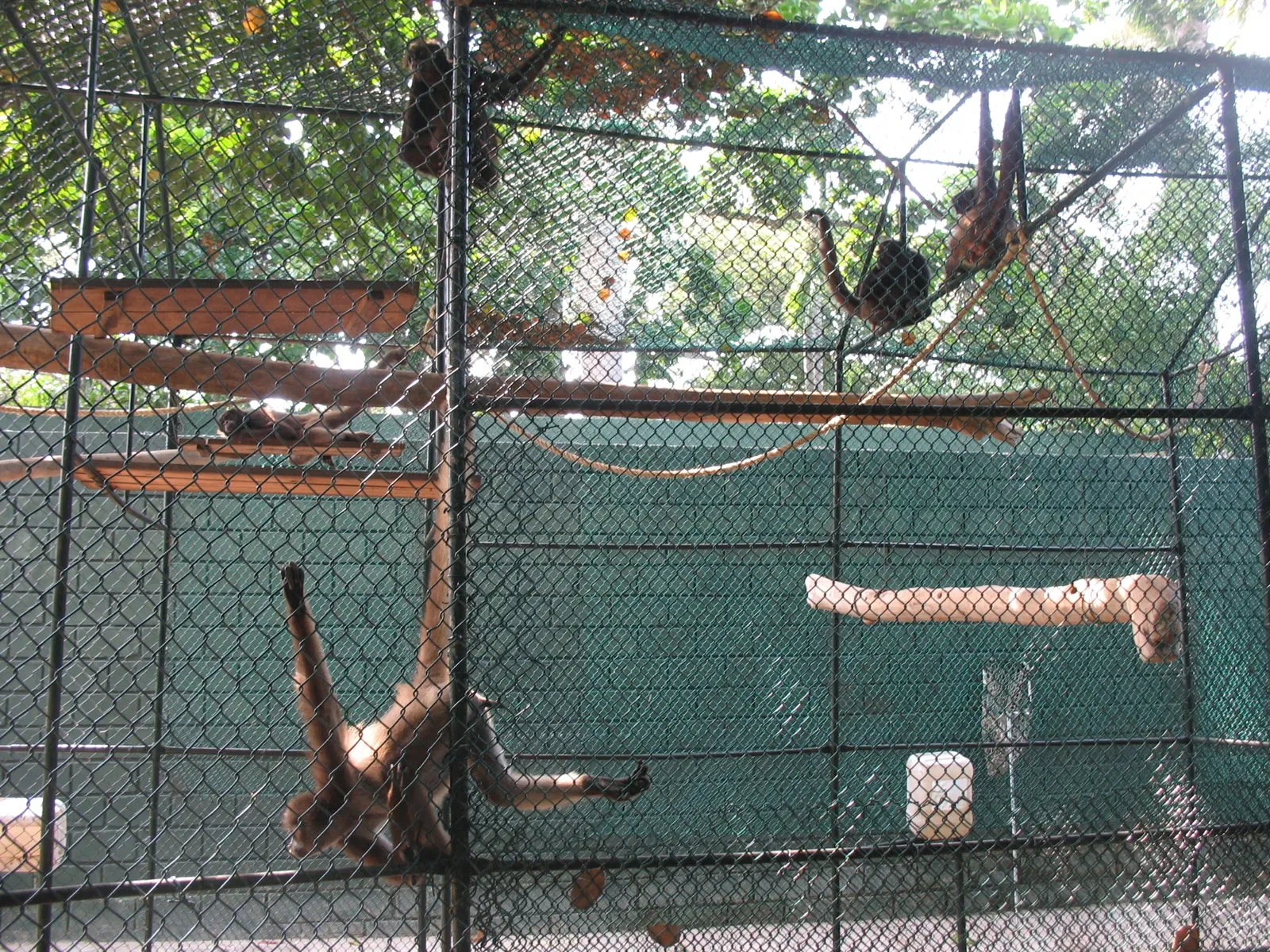 Zoológico de Barranquilla